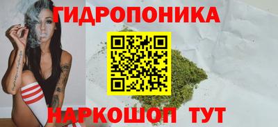 apvp Заволжье