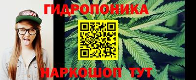 apvp Заволжье